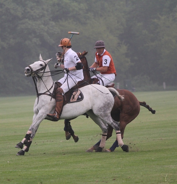 Polo_Art   086.jpg